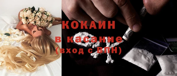 хмурый Мегион