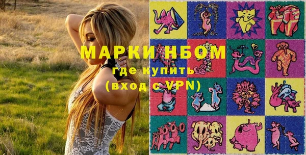 хмурый Мегион