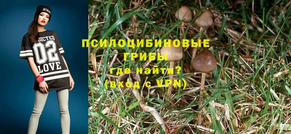 spice Михайловка