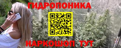 метадон Аргун