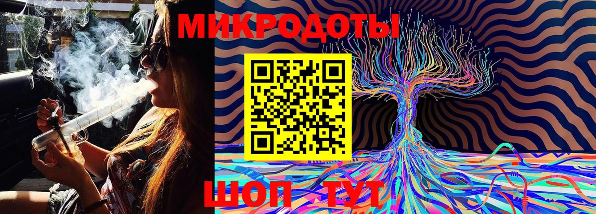 Псилоцибиновые грибы Psilocybine cubensis Мыски