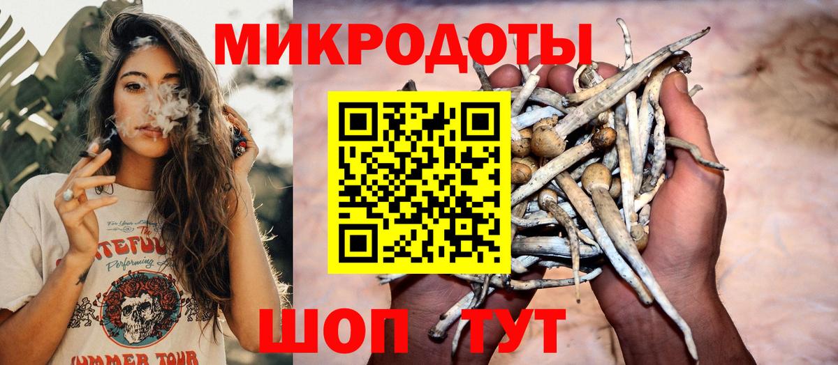 Галлюциногенные грибы Psilocybe Мыски