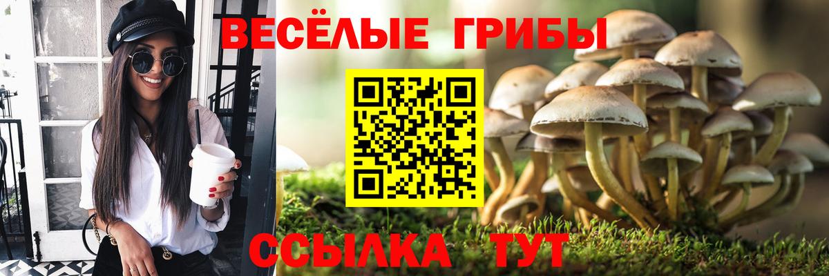 Галлюциногенные грибы MAGIC MUSHROOMS  Вход с VPN  Мыски  Псилоцибиновые грибы ЛСД 